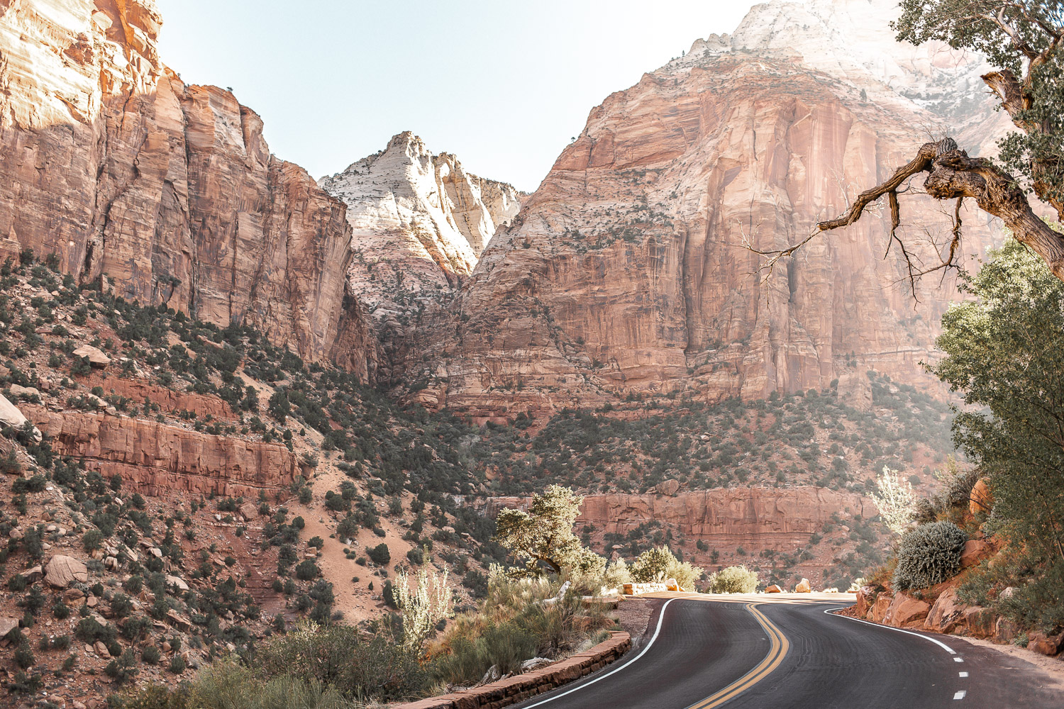 20 Photos to Inspire You to Visit Zion National Park in Utah